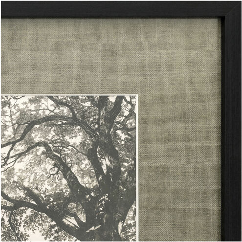 Arise 32 X 24 inch Print, Framed